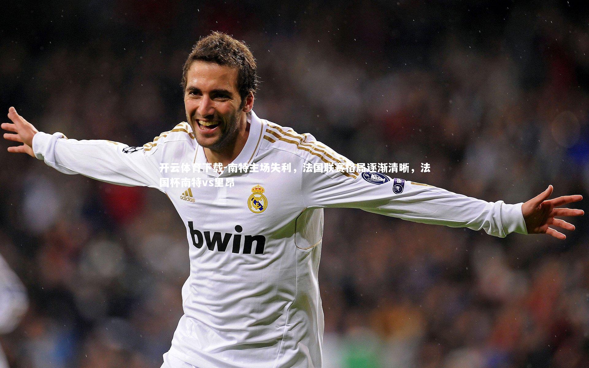 南特主场失利,法国联赛格局逐渐清晰,法国杯南特vs里昂